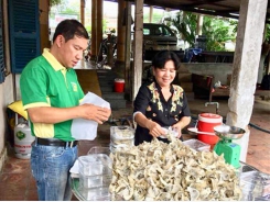 Farmers in Dau Tieng contribute to economic development