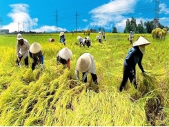 Bright picture forecast for agriculture sector