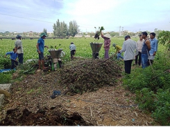 Sử dụng bèo làm phân vi sinh