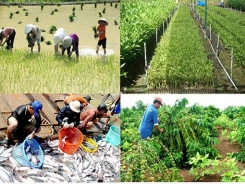 Breakthrough changes for rural economy