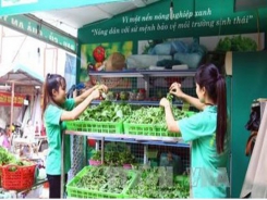 Vietnam shares experience on developing green agriculture at UN forum