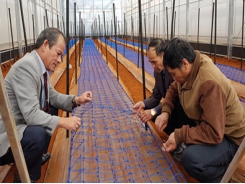 Japanese experts help Vietnamese farmers grow flowers