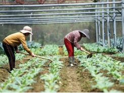 More investment needed for agriculture sector