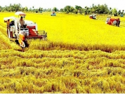 Conference discusses Vietnam’s agricultural opportunities, challenges when joining EVFTA