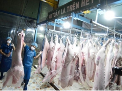 China imports huge amount of pork