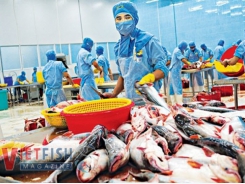 Seafood exports have seen more positive signs