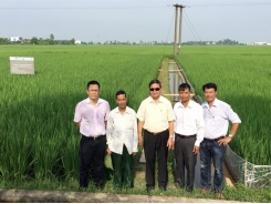 Bón phân thông minh giảm phát thải khí nhà kính trong canh tác lúa