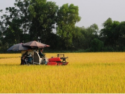 Agricultural sector maintains growth in first half