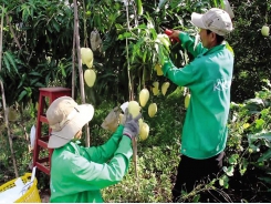 US clamour for Vietnamese produce