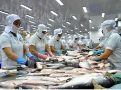 Tra fish exports to Southeast Asia rise 14.6 percent