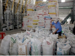 Agriculture sector struggles to recover weakening exports