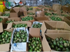 Son La boosts trade promotion activities for exports of farm produce