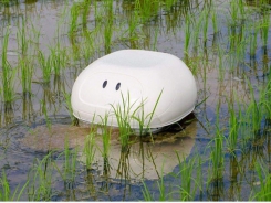 ‘Vịt’ robot giúp nông dân Nhật diệt cỏ không cần hóa chất