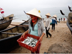 Vietnam seafood exports could miss $10 bln target