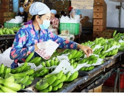 Over 491 million USD invested in processing farm produce in H1