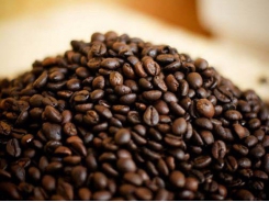 Global coffee price fluctuates, domestic price plunges