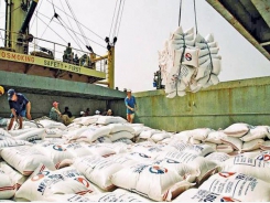 Mismanagement causes difficulties for Vietnam's rice exporters