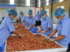 State needs solutions to reduce logistics cost for farm produce