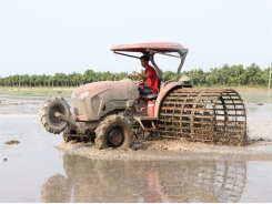 Rice farms in Đồng Tháp fully mechanised