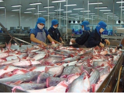 Seafood export value estimated to reach $2.81 billion in five months