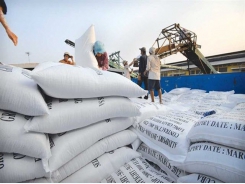 Vietnam's rice export price stands at lowest level over past two months