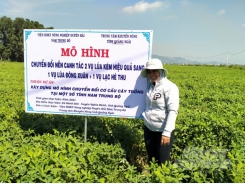 Chuyển đổi thành công đất lúa kém hiệu quả sang cây trồng cạn