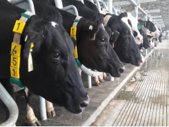 Wave of investment from agricultural 'giants'