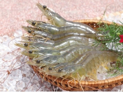 Mekong Delta fishery export reached nearly 2 billion USD