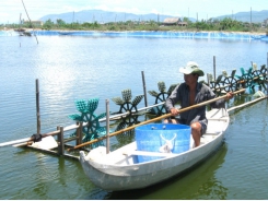 Phòng chống nắng nóng cho tôm nuôi