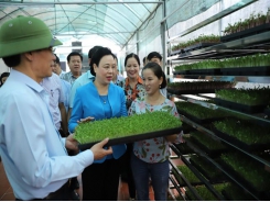 Hà Nội promotes agricultural cooperative development