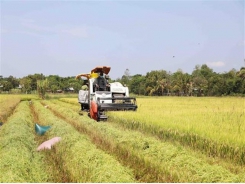 Australian businesses interested in agritech in Việt Nam