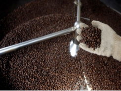 Asia Coffee-Vietnam domestic prices edge lower on movement curbs, high shipping cost