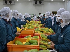 Local fruit and vegetable sector sets export target of US$3.6 billion