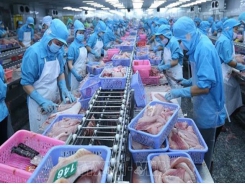 US announces final results of POR16 for Vietnamese tra, basa fish