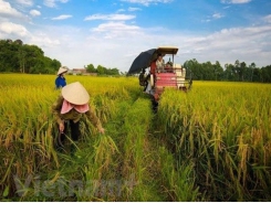 Minister - Vietnam looks towards sustainable agriculture