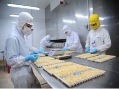 Vietnam’s shrimp exports rake in US$1.7 billion H1