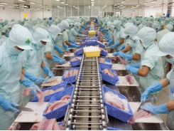 Seafood exports may hit the landmark of USD 9 billion