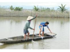 Nuôi Tôm, Cá Bằng Thức Ăn Tự Nhiên