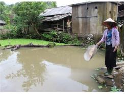 Tiềm Năng Thủy Sản Ở Than Uyên (Lai Châu)