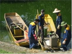 Cá Chết Hàng Loạt Tại Hồ Thiền Quang