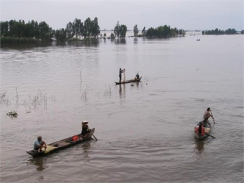 Cá Mùa Lũ Ở An Giang