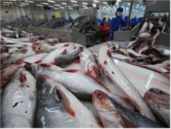 Thái Lan Đứng Đầu ASEAN Về Nhập Khẩu Cá Tra Việt Nam