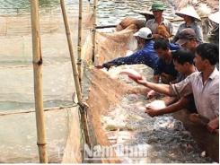 Chuyển đổi thành công đất nông nghiệp kém hiệu quả sang nuôi trồng thủy sản