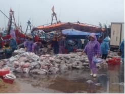 Chợ cá trong mưa bão