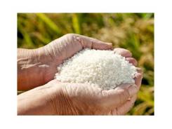 Indonesia dự định nhập khẩu 1,5 triệu tấn gạo từ Việt Nam và Thái Lan