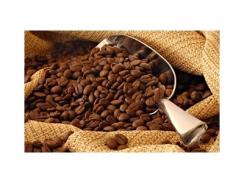 Giá cà phê trong nước ngày 18/09/2015 giảm trở lại 300 ngàn đồng/tấn