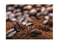 Giá cà phê rơi xuống mức thấp nhất 2 năm do đồng real giảm