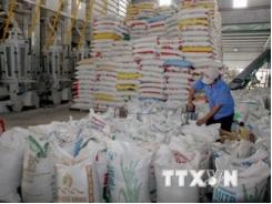 Nâng mức giá sàn xuất khẩu gạo 25% tấm thêm 10 USD mỗi tấn