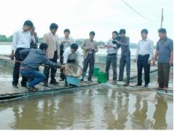 Dạy nghề nuôi trồng thủy sản cho nông dân
