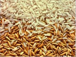 Còn nhiều thách thức với ngành lúa gạo